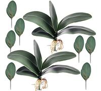 HinyoCo Feuille D'Orchidée Artificielle 26 cm Toucher Latex Feuilles Artificielles de Phalaenopsis avec Racines pour Décoration de Maison (9)