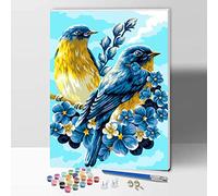 Hiolife Peinture par Numero pour Enfant et Débutant, Loisirs Créatifs Activité Manuelle, Peinture Acrylique Kit de Dessin pour Filles et Garçons, Avec Cadre 30 x 40 cm - Animaux - Oiseaux