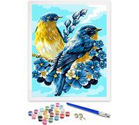 Hiolife Peinture par Numero pour Enfant et Débutant, Loisirs Créatifs Activité Manuelle, Peinture Acrylique Kit de Dessin pour Filles et Garçons, Sans Cadre 40 x 50 cm - Animaux - Oiseaux