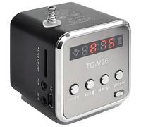 Hipipooo Mini Haut-Parleur TD-V26 | Radio FM Stéréo & Lecteur MP3 Portable | Batterie Rechargeable, Compatible Carte SD/TF et USB, pour Usage Quotidien et Extérieur (Noir)