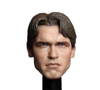 HiPlay 1/6 Scale Male Figure Head Sculpt, Handsome Men Tough Guy, Doll Head for 12 inch Action Figure TBLeague/Phicen HS015 (C)