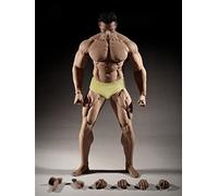 HiPlay TBLeague 1/6 Scale Seamless Male Action Figure Body- 12 inch Super Flexible Collectible Figure Dolls (M35)
