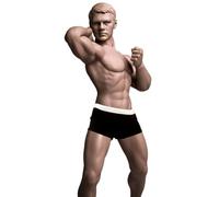HiPlay TBLeague 1/6 Scale Seamless Male Action Figure Body- 12 inch Super Flexible Collectible Figure Dolls (M30)