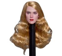 HiPlay ziltoys 1/6 Scale Female Head Sculpt Action Figure Accessory: Amber Heard Female Head Sculpt for Female 6-inch Miniature Collectible Figure z008b