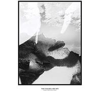Hippo Campus - The Halocline Eps [Vinyl]
