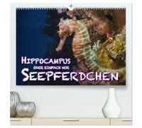 Hippocampus oder einfach nur Seepferdchen (hochwertiger Premium Wandkalender 2026 DIN A2 quer), Kunstdruck in Hochglanz: Seepferdchen sind beim ... Meeresbewohner in ihrer ganzen Schönheit.