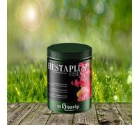Hippolyte St. Hesta plus fer | 1 kg