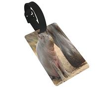 Hippopotame Animaux Sauvages Famille Eau Potable Saleté Sur La Bouche 2 PC Étiquettes De Bagage En PVC Couverture De Confidentialité Étiquettes De Bagage En Silicone Étiquettes De Valise De Voyage A