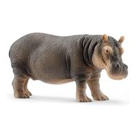 Hippopotame (bundle)