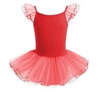 HIPPOSEUS Fille Robe de Ballet Danse Tutu Justaucorps de Ballet Danse Gymnastique Enfants Manches Courtes, Y04-Rouge,6-8 Années