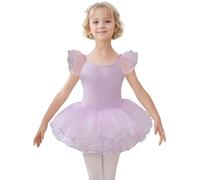 HIPPOSEUS Fille Robe de Ballet Danse Tutu Justaucorps de Ballet Danse Gymnastique Enfants Manches Courtes, Y04-Violet,6-8 Années