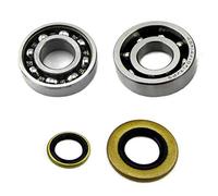 Hippotech Pack joint d'huile de roulement à billes de vilebrequin pour tronçonneuse Stihl 066 MS660 065 MS650 064 MS640