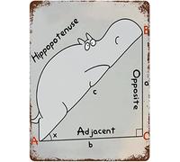 Hippotenuse - Panneau mural amusant pour enseignant de mathématiques, enseignant de mathématiques, cadeau de rentrée scolaire, affiche murale décorative en métal, 20,3 x 30,5 cm