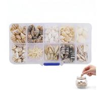 HIPTS 1 Boîte de Coquillages Naturels et Conques pour Décoration, Coquillage Décoration Mixte pour Aquarium, Artisanat, Bricolage, Mariage et Thème Plage, Remplissage de Vase et Micro-paysage