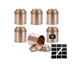 Hipzeepo Kitchen Small Tin Can, 6pcs Tea Tin with Airtight Double Lids for Loose Leaf Tea Storage, 8 FL Oz Capacity Rose Gold