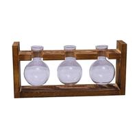 Hipzeepo Terrarium en Verre pour Plantes, Station de Propagation pour 3 Bulbes avec Support en Bois, Jardinière D'Intérieur, Vase Hydroponique et Décoration de Bureau