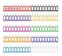 HIQU and HIST Lot de 50/100/150 porte-clés en plastique avec passants - Étiquettes inscriptibles pour clés, animaux de compagnie, bagages - 10 couleurs interchangeables, 100 pièces, 10 couleurs, 150