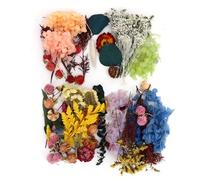 Hiraith 4 Boîtes de Fleurs Séchées Ensemble, Fleurs et Plantes Séchées Ensemble, Couleurs et Styles Assortis pour L'artisanat de Bricolage, Les Bougies D'aromathérapie et la Décoration