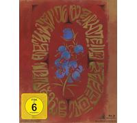 Mary und die Blume der Hexen [Limited Edition im Schuber in Lederopti (Blu-ray)