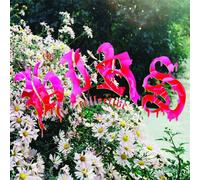Hirs Collective - We're Still Here [Vinyl LP]