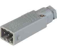 Hirschmann 4002044217372 Connecteur pour capteur/actionneur Icon STAS 3 N GR