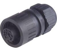Hirschmann 934 125-100-1 934125100 Cosse cylindrique mâle femelle, droit Nombre total de pôles: 3 + PE Série (connecteur rond)