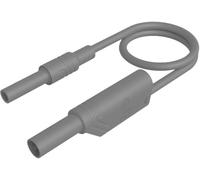 Hirschmann Test & Measurement MAL S WS-B 100/2,5 gr Cordon de mesure de sécurité prise de sécurité 4 mm prise de sécurité 4 mm, empilable 100 cm gris 1 pc(s)