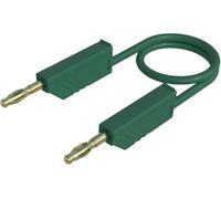 Hirschmann Test & Measurement MLN 100/2,5 GN Cordon de mesure Banane mâle 4 mm Banane mâle 4 mm 1.00 m vert 1 pc(s)