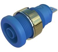 Hirschmann Test & Measurement SEB 2610 F4,8 Ni blau Prise encastrée de sécurité bleu 1 pc(s)