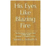 His Eyes Like Blazing Fire: The Revelation Of Jesus Christ - A Bible Study (Volume 2 - Chapters 12-22)