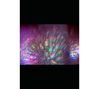 His Promise My Faith: Enduring the Process Until Covenant Becomes Reality