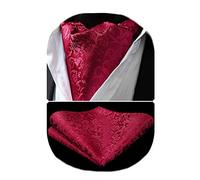 HISDERN Ascot Homme Et Mouchoir Ensemble - Cravate Paisley Formelle Mariage Élégant Jacquard Foulard, Rouge, Taille Unique