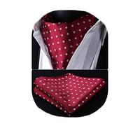 HISDERN Cravate Ascot Homme Cravates Et Mouchoir Ensemble Cravate Paisley Formelle Mariage Élégant Cravate Jacquard Foulard Ascot Homme,Rouge,Taille unique
