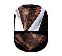 HISDERN Cravate Ascot Homme Cravates Et Mouchoir Ensemble Cravate Paisley Formelle Mariage Élégant Cravate Jacquard Foulard Ascot Homme,Brun,Taille unique