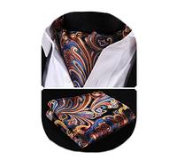 HISDERN Cravate Ascot Homme Cravates Et Mouchoir Ensemble Cravate Paisley Formelle Mariage Élégant Cravate Jacquard Foulard Ascot Homme,Multicolore,Taille unique