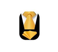 HISDERN Cravate Homme Mariage Cravate et Pochette Set Couleur Unie Formelle Élégant Mouchoir Fete Affaire