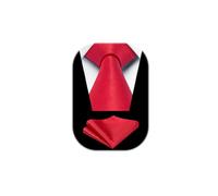 HISDERN Cravate Homme Mariage Cravate et Pochette Set Couleur Unie Formelle Élégant Mouchoir Fete Affaire