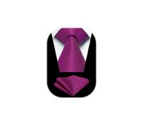 HISDERN Cravate Homme Mariage Cravate et Pochette Set Couleur Unie Formelle Élégant Mouchoir Fete Affaire