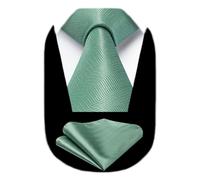 HISDERN Cravate Homme Mariage Cravate et Pochette Set Couleur Unie Formelle Élégant Mouchoir Fete Affaire