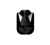 HISDERN Cravate pour Homme Noir à Motif Cachemire Mariage Élégant Cravates Extra Longues Hommes et Pochette de Costume, XL
