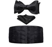 HISDERN Homme Ceinture de Smoking Noir 3 Pcs Cachemire Cummerbund pour Hommes avec Noeud Papillon et Pochette de Costume, Bande Réglable