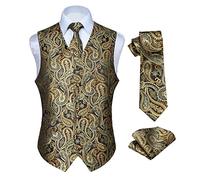 HISDERN Hommes Classique Paisley Floral Jacquard Gilet & Cravate et Gilet de Poche Gilet Ensemble, Or, 3XL