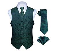 HISDERN Hommes Classique Paisley Floral Jacquard Gilet & Cravate et Gilet de Poche Gilet Ensemble, Vert / Violet, M