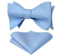 HISDERN Noeud Papillon Homme Bleu Classique Mariage Élégant Affaires Noeud Papillon et Pochette Homme de Formelle Fete