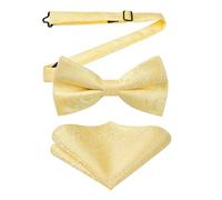 HISDERN Nœud Papillon Jaune Homme Nœuds Papillon et Mouchoir avec Crochet déjà Lié Réglable Color Sólido Nœud Papillon et Carré de Poche Ensemble