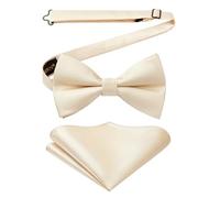 HISDERN Nœuds Papillon Homme Champagne et Mouchoir avec Crochet déjà Lié Réglable Color Sólido Nœuds Papillon et Carré de Poche Ensemble
