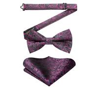 HISDERN Nœuds Papillon Homme Noir et Mouchoir avec Crochet déjà Lié Réglable Color Sólido Nœuds Papillon et Carré de Poche Ensemble