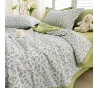 Hiseng Couette 1 Personne en Microfibre, Couette Imprimée Botanique Reversible pour 4 Saisons, Tempérée Duvet sans Housse 2 Personnes pour Adulte Enfant (Feuille Verte,200x230cm)