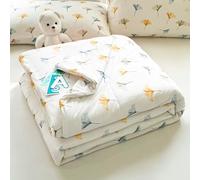 Hiseng Couverture 2.5 Tog, Dessus De Lits et Couvre-Lits, 2025 Couette sans Housse Couette Ete, Edredon Réversible, Lavable, pour 1/2 Personnes (Ginkgo Biloba,200 * 230cm)