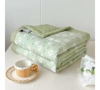 Hiseng Couverture 2.5 Tog, Dessus De Lits et Couvre-Lits, 2026 Couette sans Housse Couette Ete, Edredon Réversible, Lavable, pour 1/2 Personnes (Verte de Sauge,150x200cm)